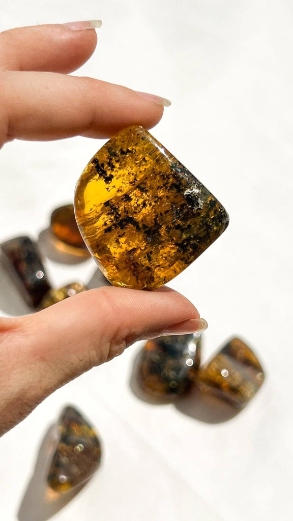 Mexican Amber Freeform | Medium - Unearthed Crystals