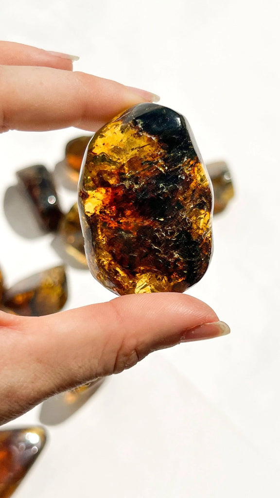 Mexican Amber Freeform | Medium - Unearthed Crystals