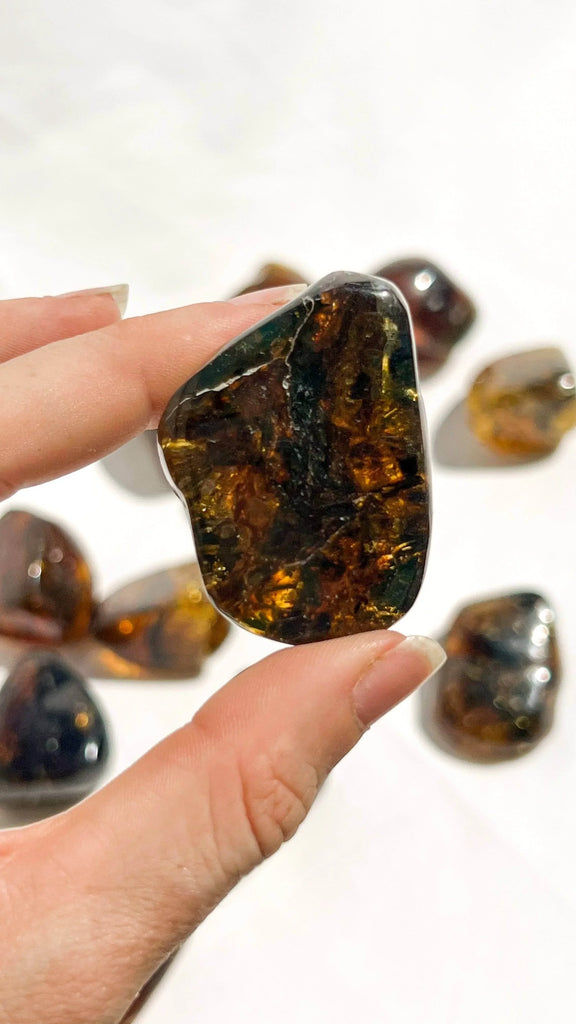 Mexican Amber Freeform | Medium - Unearthed Crystals