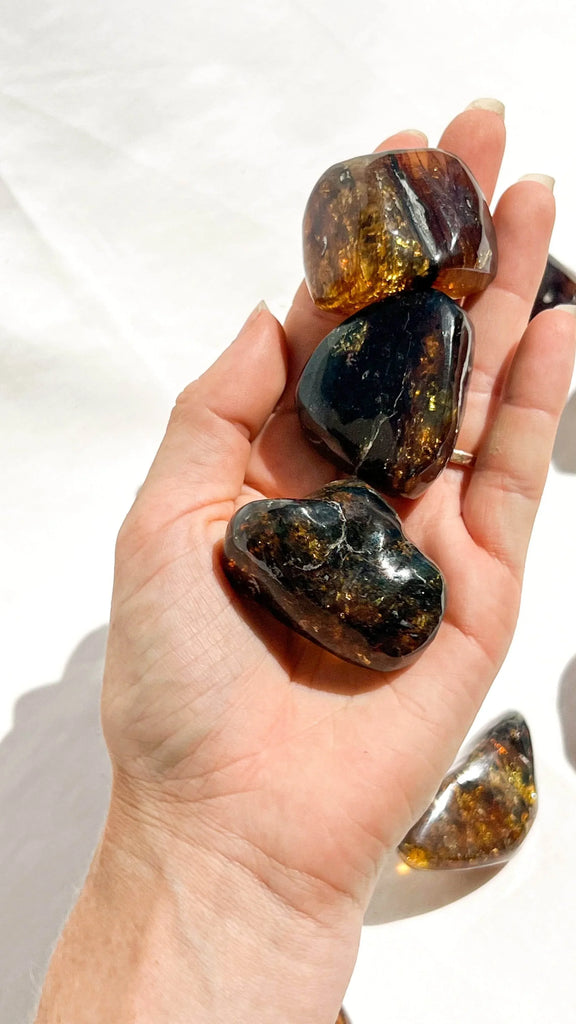 Mexican Amber Freeform | Medium - Unearthed Crystals
