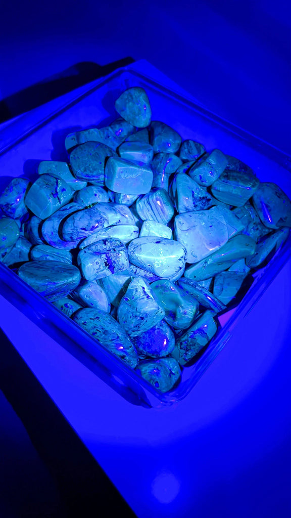 Mexican Amber Tumbles | Large - Unearthed Crystals