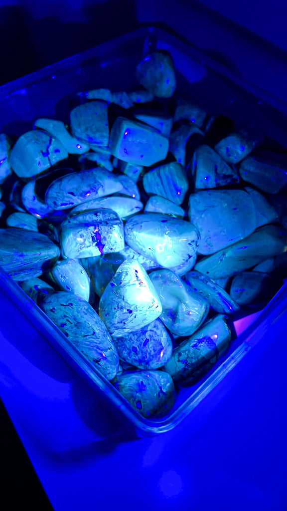 Mexican Amber Tumbles | Large - Unearthed Crystals