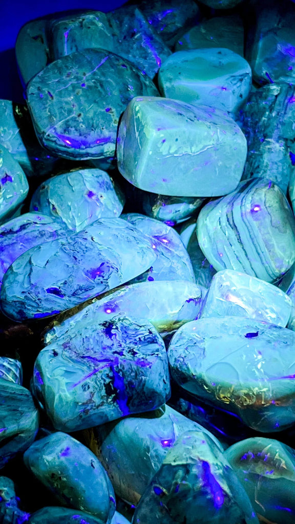 Mexican Amber Tumbles | Large - Unearthed Crystals