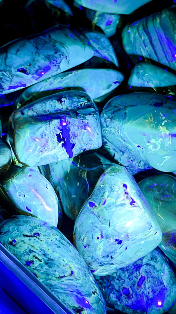 Mexican Amber Freeform | Medium - Unearthed Crystals