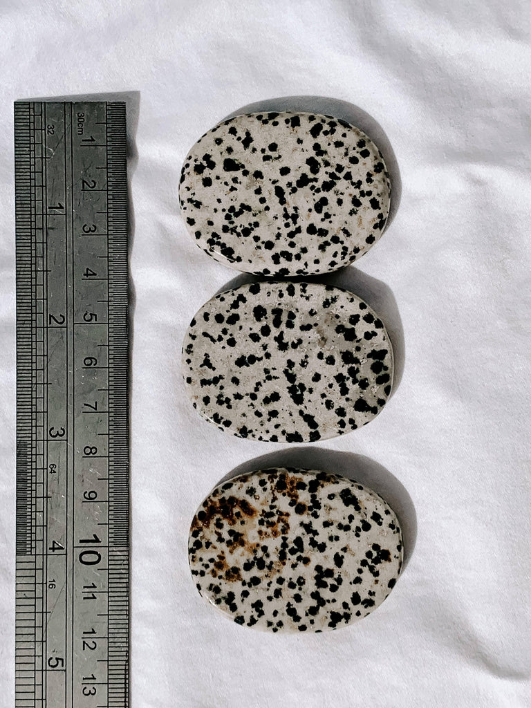 Dalmatian Jasper Flat Palm Stone - Unearthed Crystals