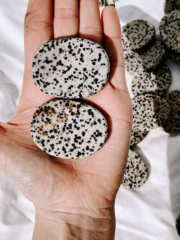Dalmatian Jasper Flat Palm Stone - Unearthed Crystals