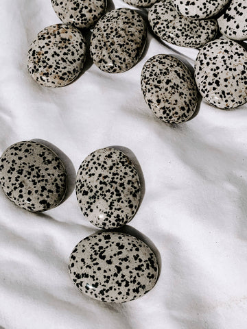 Dalmatian Jasper Pillow Palm Stone - Unearthed Crystals