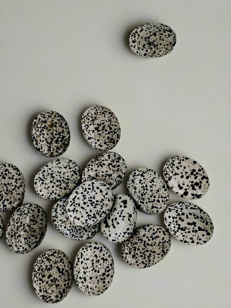 Dalmatian Jasper Pillow Palm Stone - Unearthed Crystals