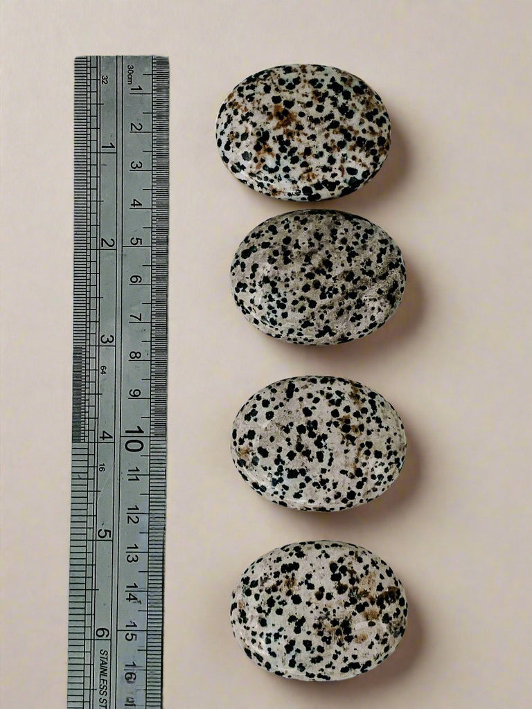 Dalmatian Jasper Pillow Palm Stone - Unearthed Crystals