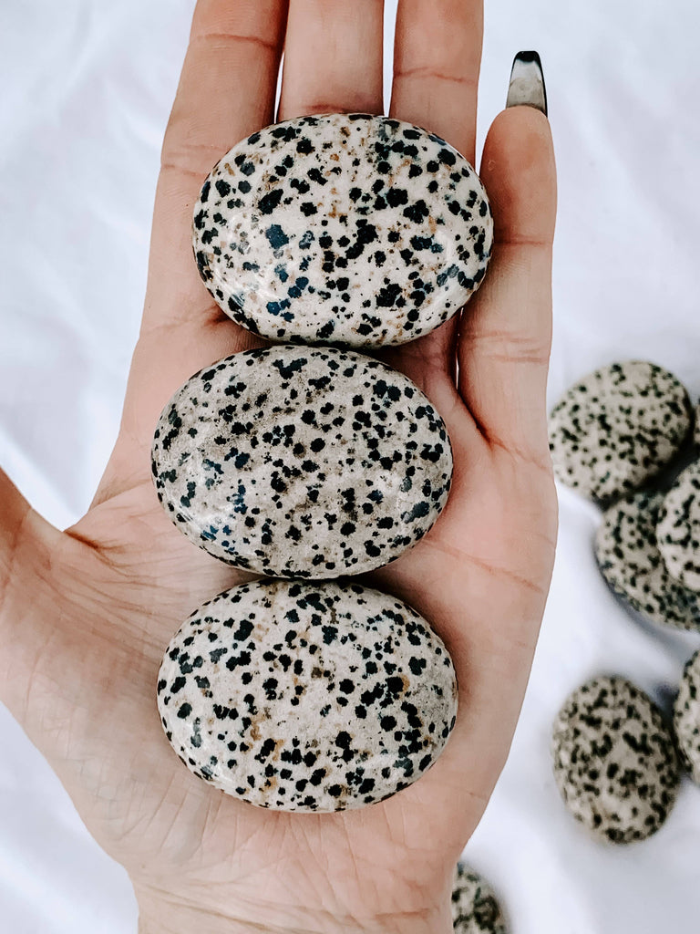 Dalmatian Jasper Pillow Palm Stone - Unearthed Crystals