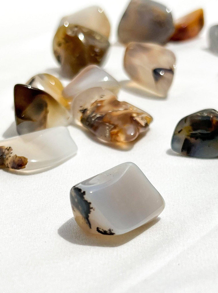 Agate Tumbles | Small - Unearthed Crystals