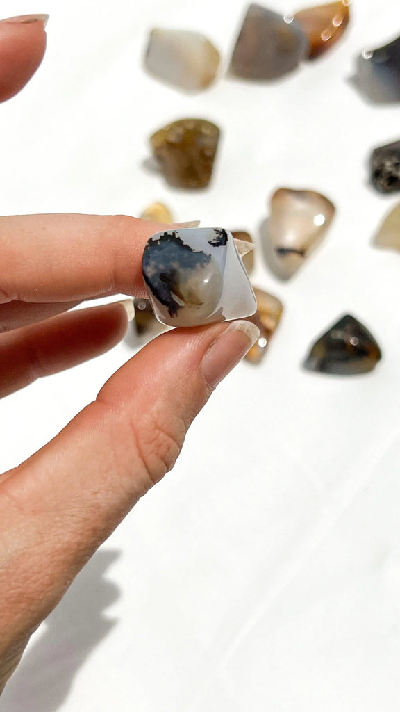 Agate Tumbles | Small - Unearthed Crystals