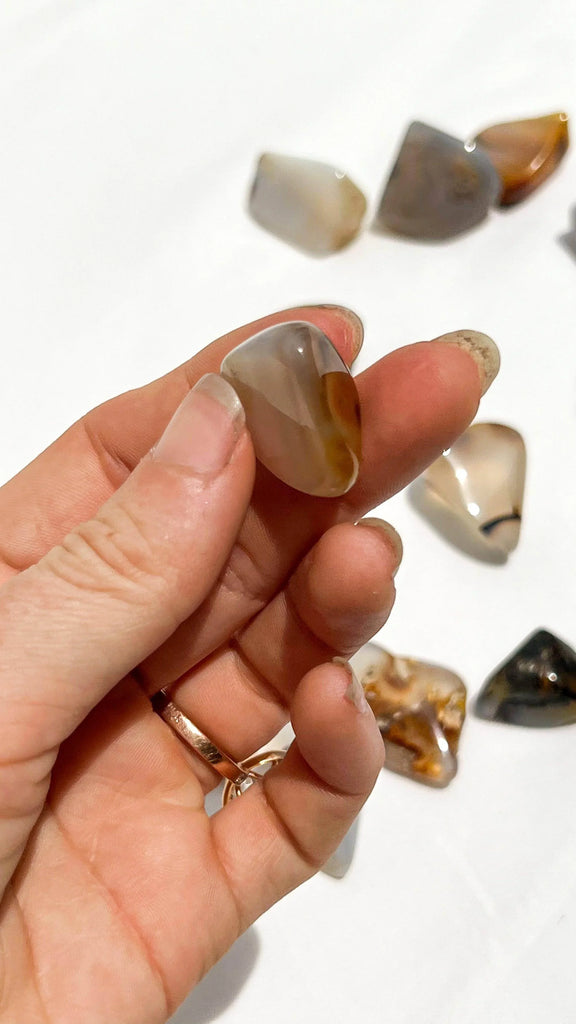 Agate Tumbles | Small - Unearthed Crystals