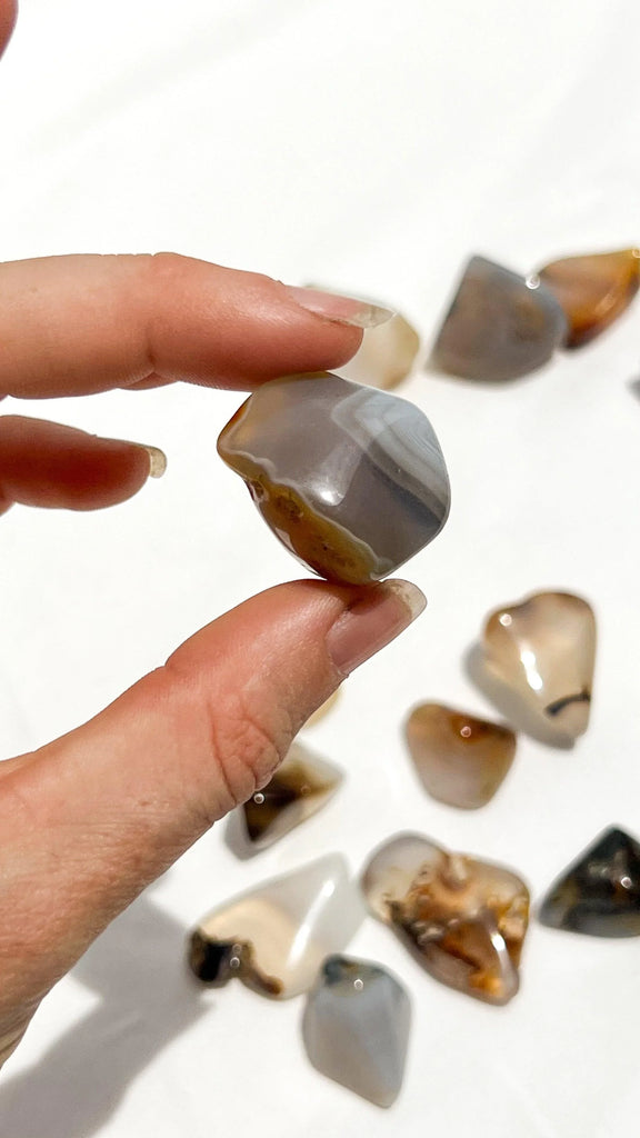 Agate Tumbles | Small - Unearthed Crystals