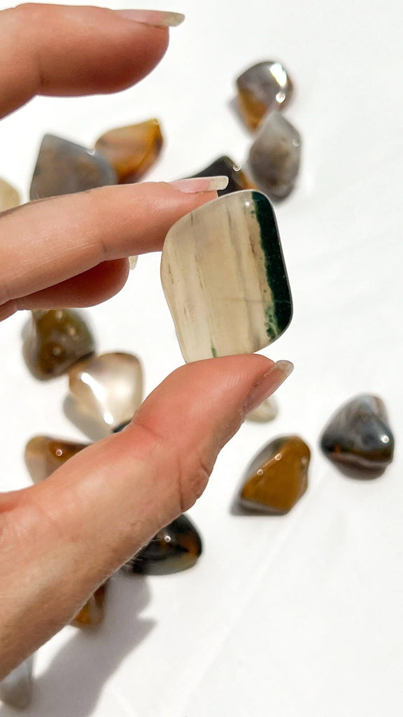 Agate Tumbles | Small - Unearthed Crystals