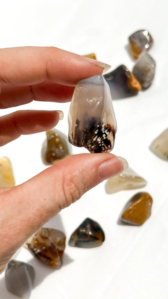 Agate Tumbles | Small - Unearthed Crystals