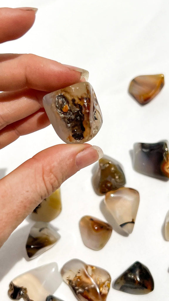 Agate Tumbles | Small - Unearthed Crystals