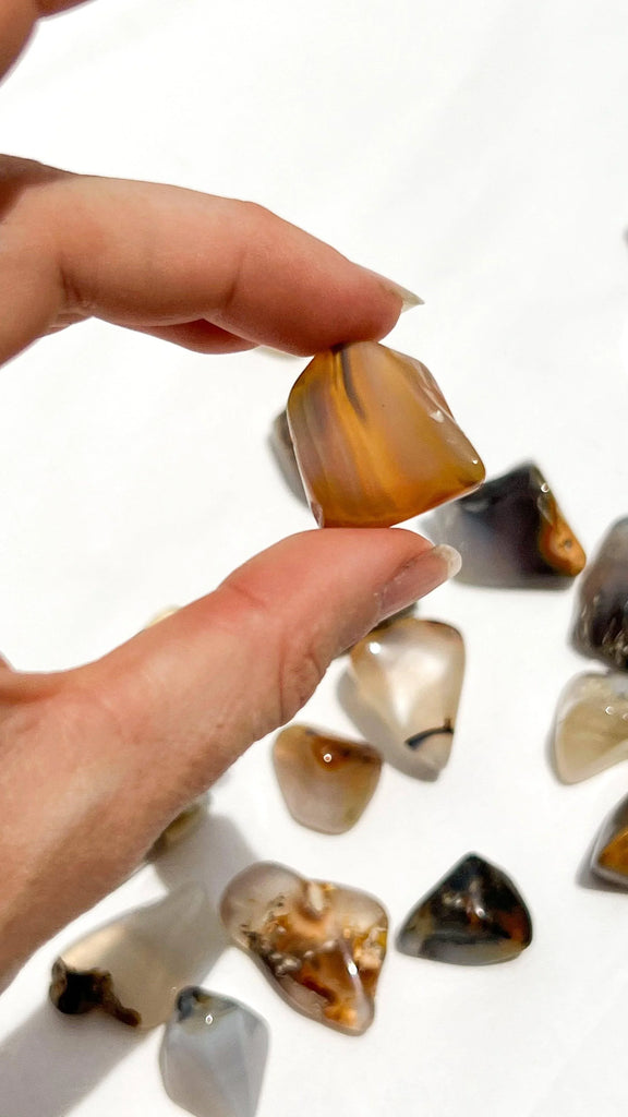 Agate Tumbles | Small - Unearthed Crystals