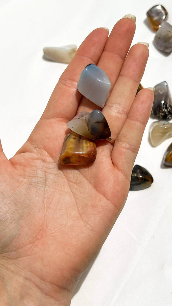 Agate Tumbles | Small - Unearthed Crystals
