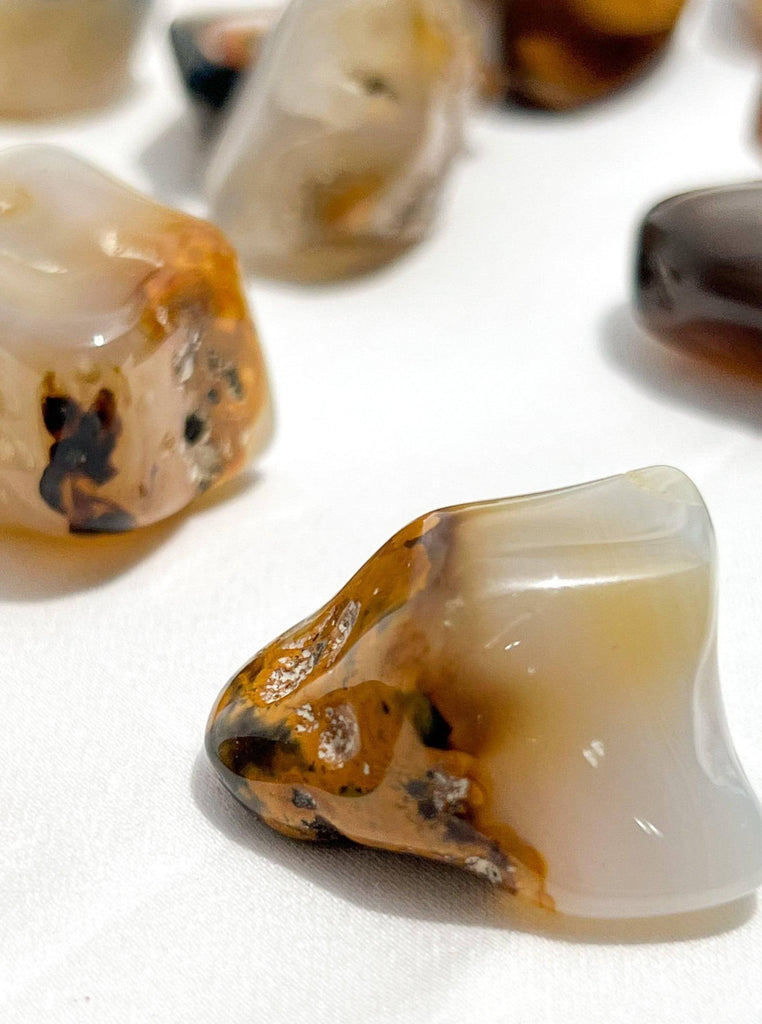 Agate Tumbles | Medium - Unearthed Crystals