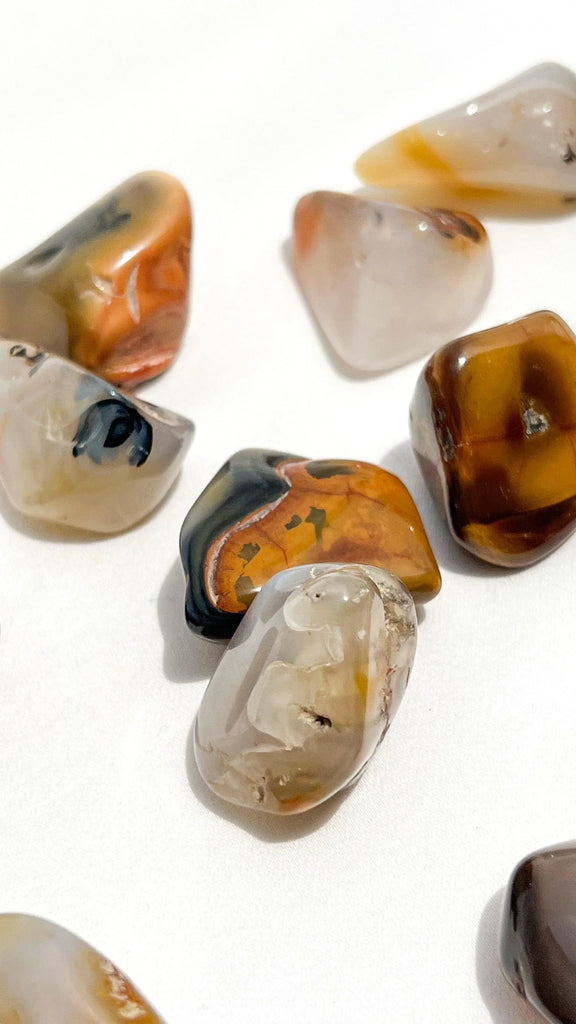 Agate Tumbles | Medium - Unearthed Crystals