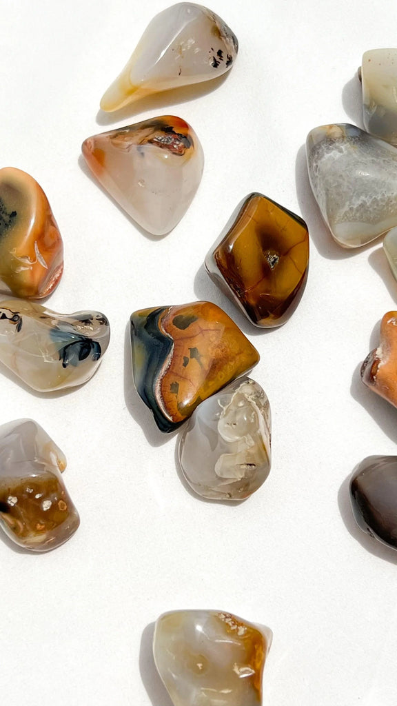 Agate Tumbles | Medium - Unearthed Crystals