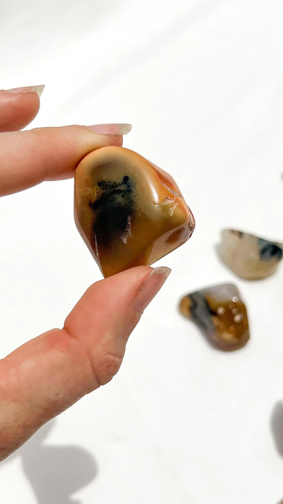 Agate Tumbles | Medium - Unearthed Crystals