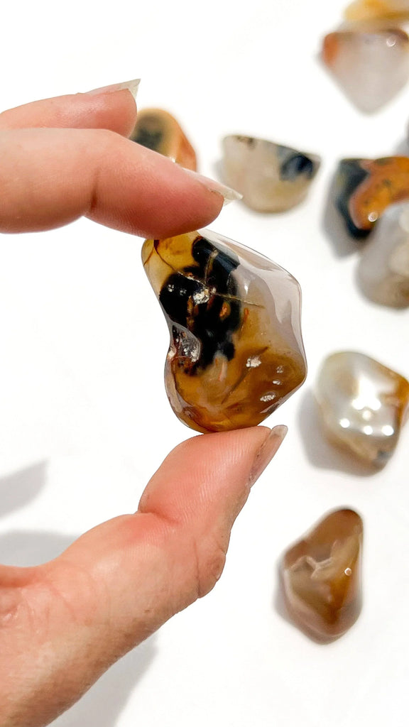 Agate Tumbles | Medium - Unearthed Crystals