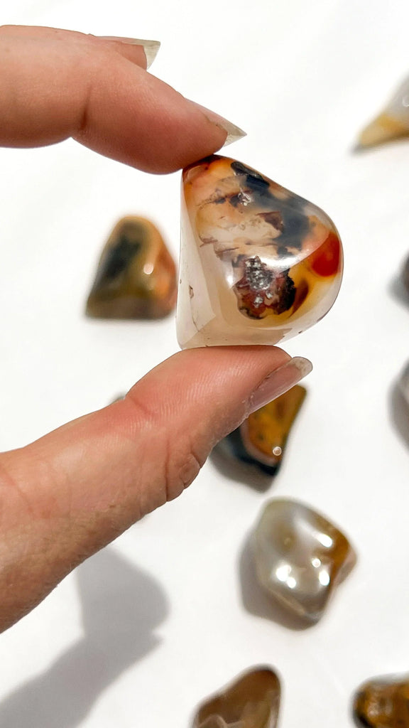 Agate Tumbles | Medium - Unearthed Crystals