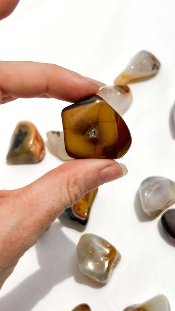 Agate Tumbles | Medium - Unearthed Crystals