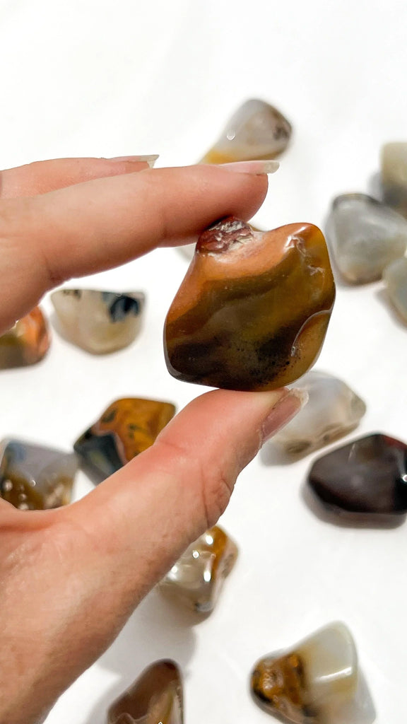 Agate Tumbles | Medium - Unearthed Crystals