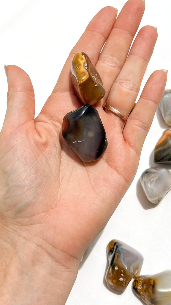 Agate Tumbles | Medium - Unearthed Crystals