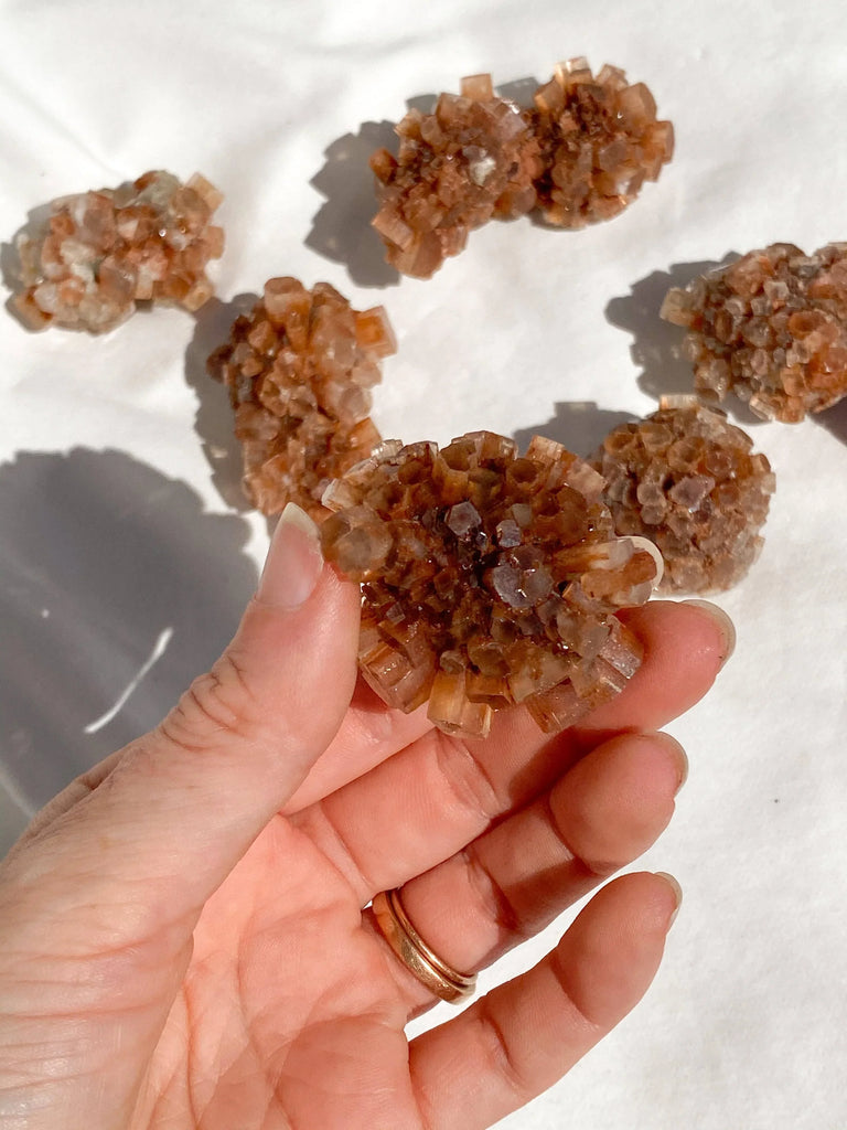 Aragonite Sputnik | Extra Large - Unearthed Crystals