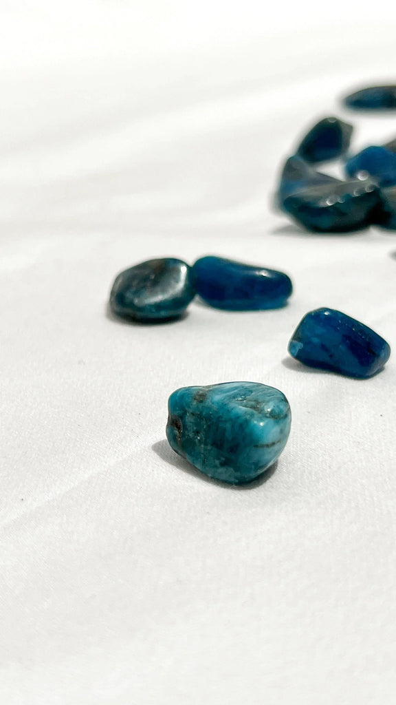 Blue Apatite Tumbles | Mini - Unearthed Crystals