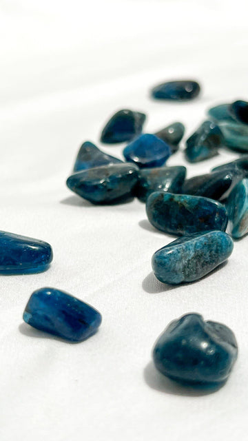 Blue Apatite Tumbles | Mini - Unearthed Crystals