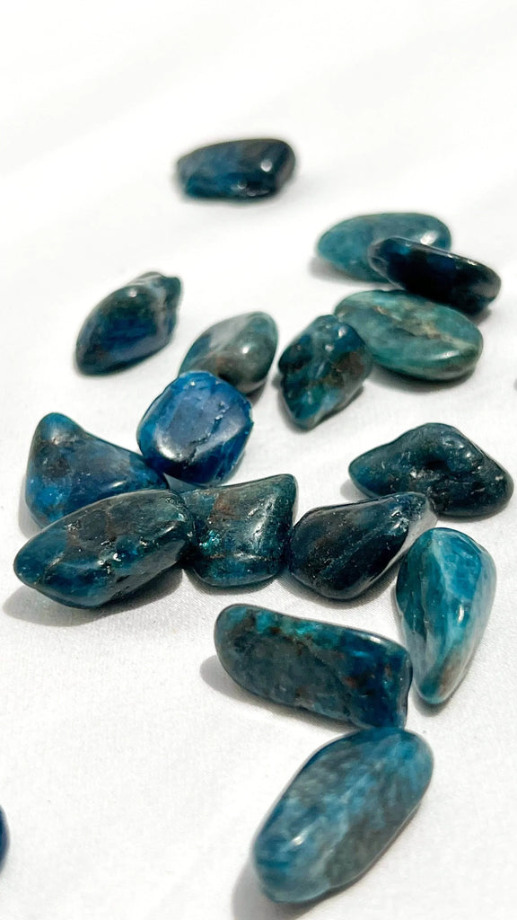 Blue Apatite Tumbles | Mini - Unearthed Crystals