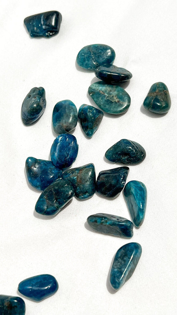 Blue Apatite Tumbles | Mini - Unearthed Crystals