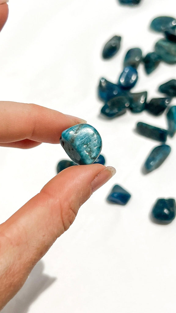 Blue Apatite Tumbles | Mini - Unearthed Crystals