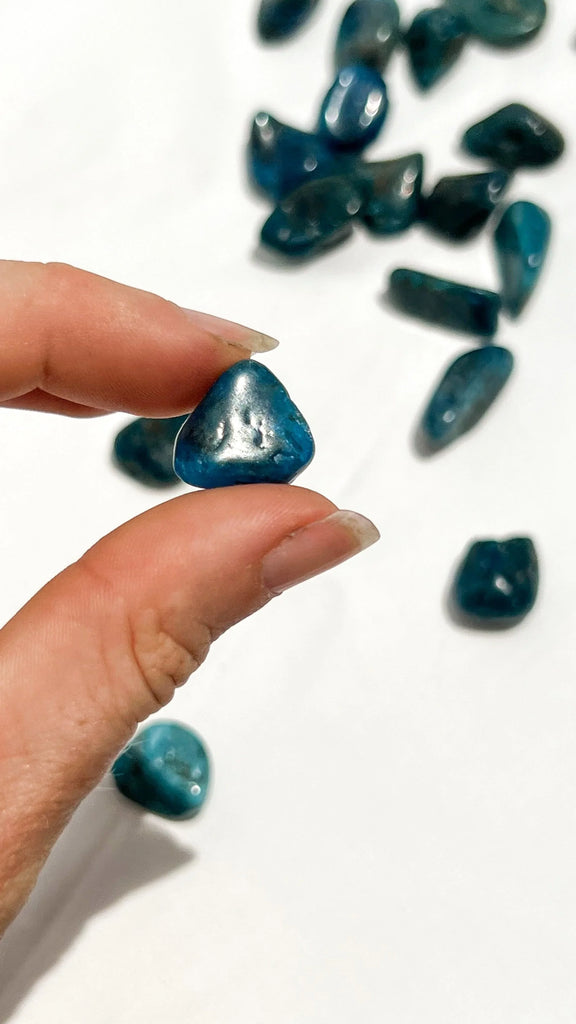 Blue Apatite Tumbles | Mini - Unearthed Crystals
