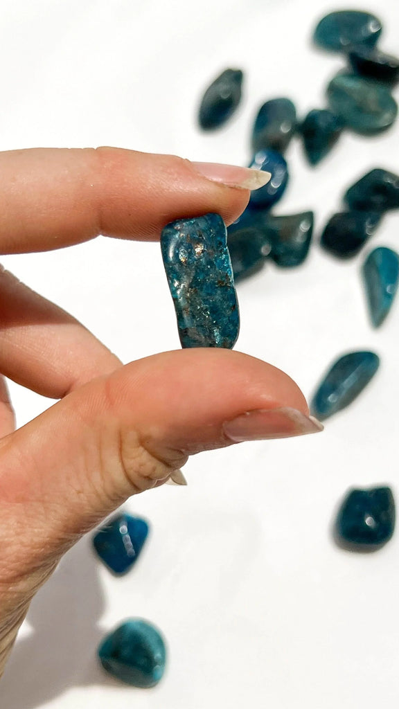 Blue Apatite Tumbles | Mini - Unearthed Crystals