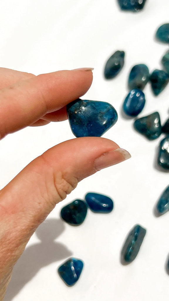 Blue Apatite Tumbles | Mini - Unearthed Crystals
