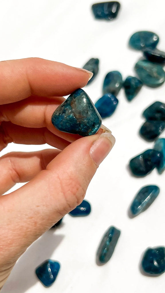 Blue Apatite Tumbles | Mini - Unearthed Crystals