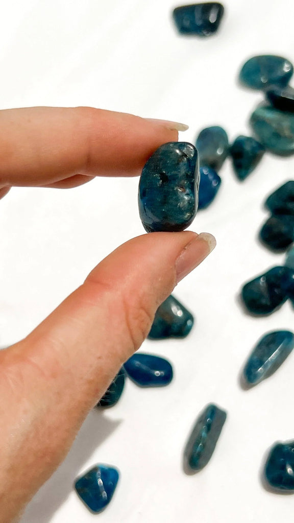 Blue Apatite Tumbles | Mini - Unearthed Crystals