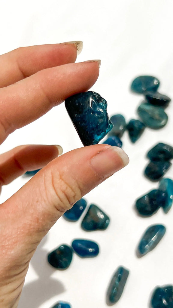Blue Apatite Tumbles | Mini - Unearthed Crystals