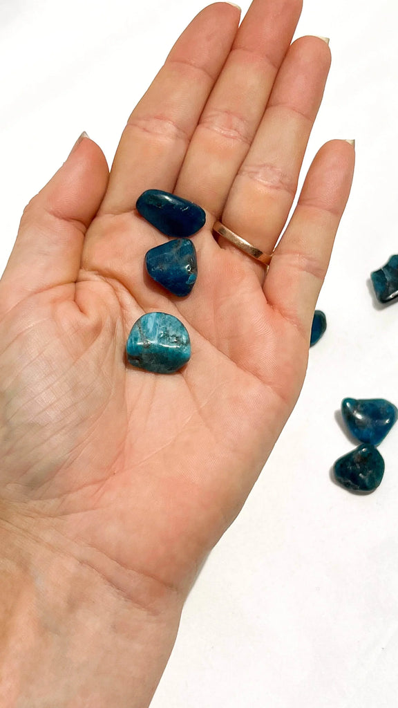 Blue Apatite Tumbles | Mini - Unearthed Crystals