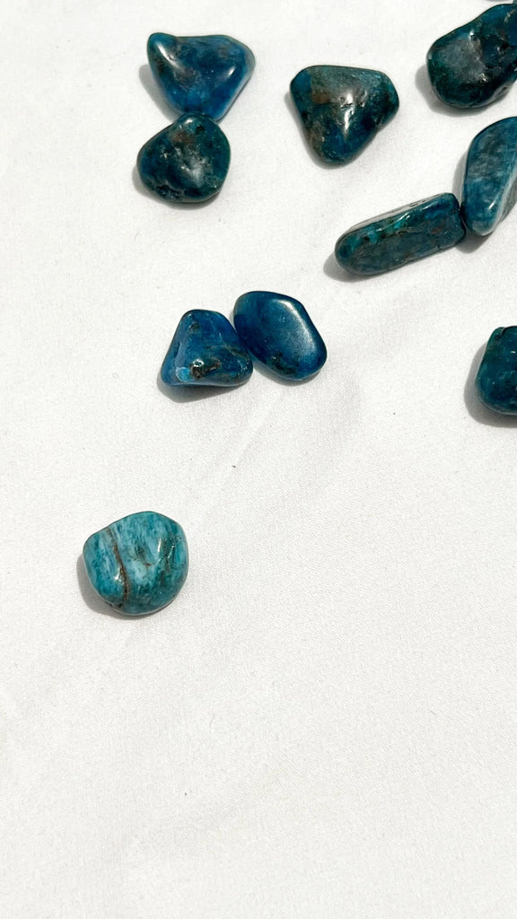 Blue Apatite Tumbles | Mini - Unearthed Crystals