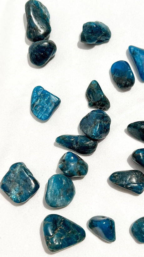 Blue Apatite Tumbles | Small - Unearthed Crystals