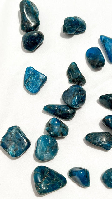Blue Apatite Tumbles | Small - Unearthed Crystals