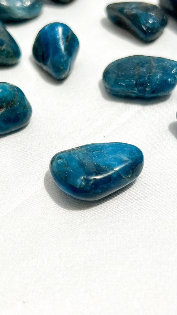 Blue Apatite Tumbles | Small - Unearthed Crystals