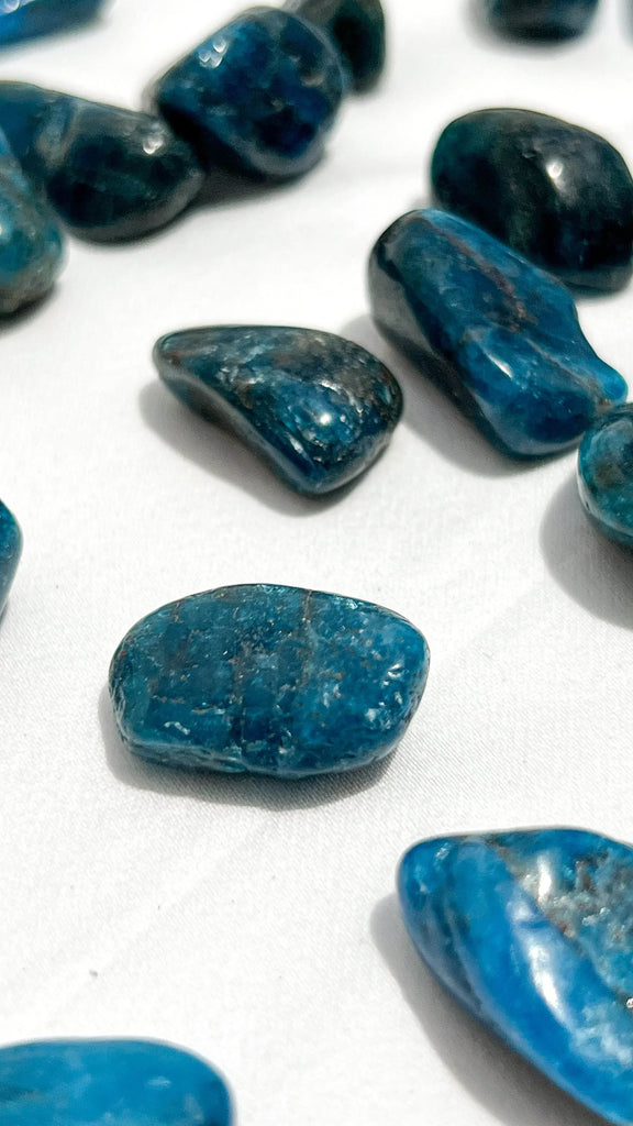 Blue Apatite Tumbles | Small - Unearthed Crystals